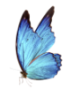 anserine: (Default)