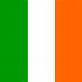 pledged_to_me: (Irish Flag)
