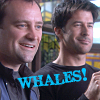 esteefee: Rodney and John smiling together looking outward with caption -WHALES!- (whales)