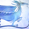 maggie2mw: (dragon)