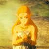 inabilities: (zelda60)
