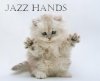 adafrog: (Kitten.jazzhands.say_my_username)