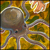 fallia: (octopus)