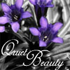 spiritedrinoa: (Quiet Beauty)