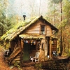 raynedanser: made for me by me - NO SHARING (misc - cabin in the woods)
