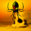 xenadragon: (spider)