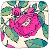 flowerdeluce: (flower4)