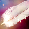 bellflower: A single white feather ([Misc] Falling feather)