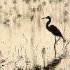 nishatalitha: image: small black heron silhouette against sepia water and reeds (Heron  silhouette)