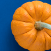 peoriapeoriawhereart: tiny pumpkin style gourd high contrast orange and blue (pumpkinsmol)