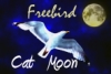mxcatmoon: seagull in sky with moon (Legend Ianto)