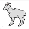 ursamajor: Frank, baaaahing (baaah!)