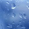 likesrain: (Raindrops)