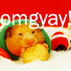 supermagpie: A VERY happy looking hamster is eating a crouton in front of a red background. White text above him says 'omgyay!' (omgyay)