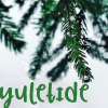 dolorosa_12: (yuletide pine tree)