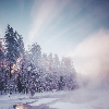 frozensnowfalls: FSF Main (Default)