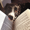 rainbocean: (Reading With A Dog)