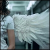 icarus_suraki: (paper wings)