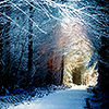 coulditbemagic: (Winter)