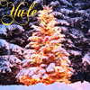 tabaqui: (Yule Tree)