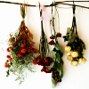merit: (Misc Flowers)