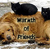 elayna: (warmth of friends)