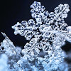unavee: translucent snowflake on a black background (snowflake - frozen)