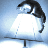 partlyopenbook: (illuminated)