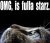 moniqueleigh: Profile of cat looking up with text "OMG, is fulla starz" (2001 cat)