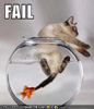 moniqueleigh: Siamese cat half in a fishbowl with goldfish biting the cat's tail. Text "Fail" (FAIL)