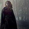 laniidae: little princess in a terrible mess, choosing from evils, whichever is less (FOREST ◑ no rest for the wicked)