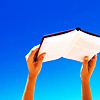 pellucid: (reading sunshine)