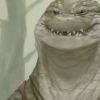 kecuala: (smile!)