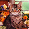 inwe_saralonde: (Kitten Amongst Flowers)