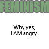 libskrat: (feminism: why yes I am angry)