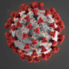 brickhousewench: (coronavirus)