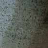 sheliak: Detail of a pot glazed with two colors overlapping. (pottery: gradations)