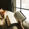 merit: (Books II)