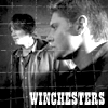 kaylashay81: (SPN - Winchesters)