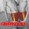 drgaellon: Gryffindors are kinky (Gryffindors Kinky)