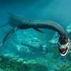 arboreal_priestess: (Plesiosaur)