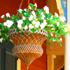 grundyscribbling: hanging basket with white flowers in bright sun against a colorful house (seasonal - summer planter)