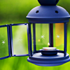 grundyscribbling: open tea light lantern hanging in grassy area (seasonal - summer lantern)