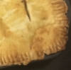 ludy: A slightly lumpy homemade pie (Baking)