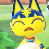 ankha: (they got the money on a bet)