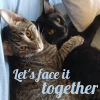 rachelmanija: A black cat and a tabby cats cuddling. Text: let's face it together (Cats: let's face it together)