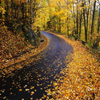 dantesspirit: (Autumn Road)