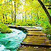 alicevangeline: (bridge)