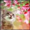 winter_blossom: (Default)