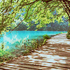 sapphism: (scene: trees + boardwalk + water)